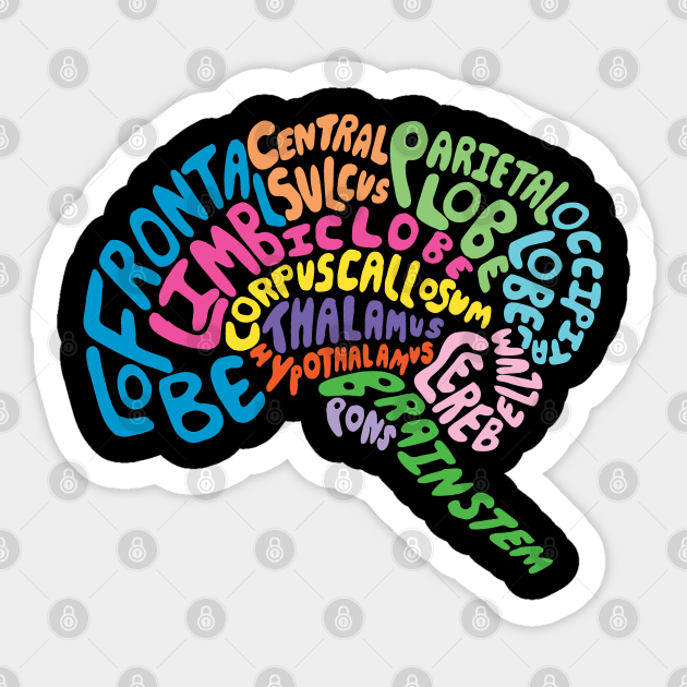 Brilliant Brain Anatomy Sticker by Geektopia